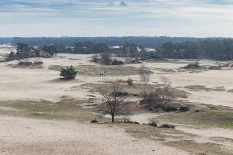 Kootwijkerzand