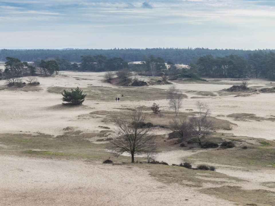 Wandelen op het Kootwijkerzand 1 Kootwijkerzand