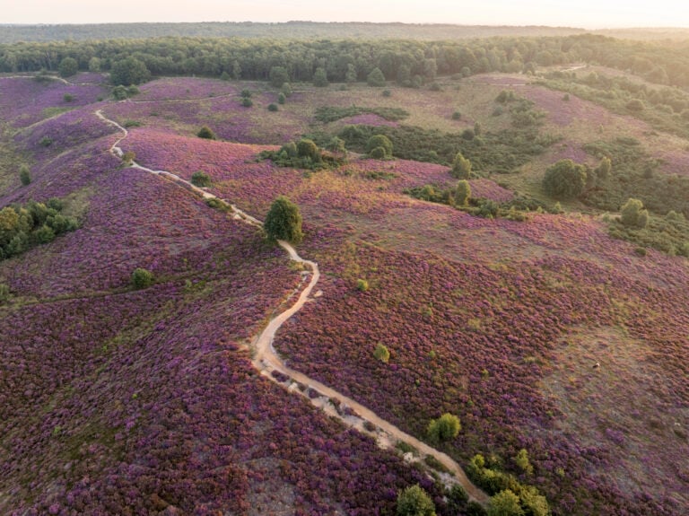 Posbank-National-park-Veluwe