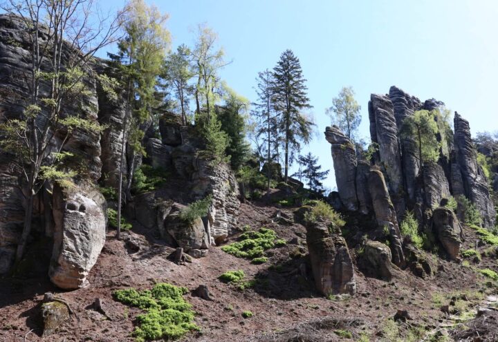 Prachovské-skály-1