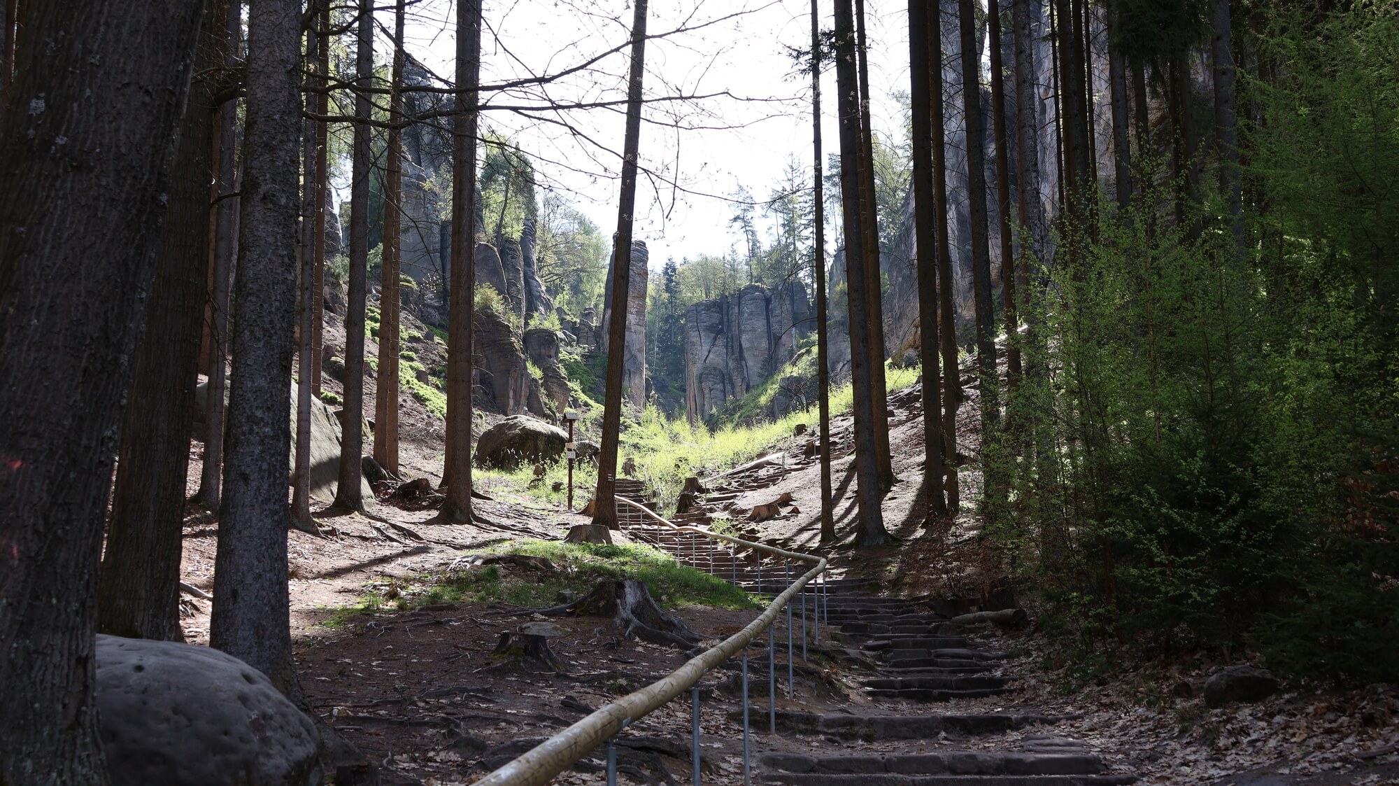 Prachovské skály: wandelen door het rotslabyrint van het Boheems Paradijs 16 Prachovské skály
