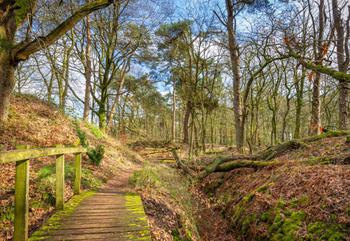 wandelen in wolfheze