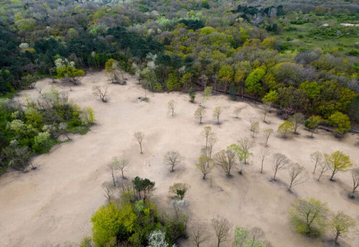 Luchtbeeld van een open zandvlakte met verspreide bomen en bosrijke duinen