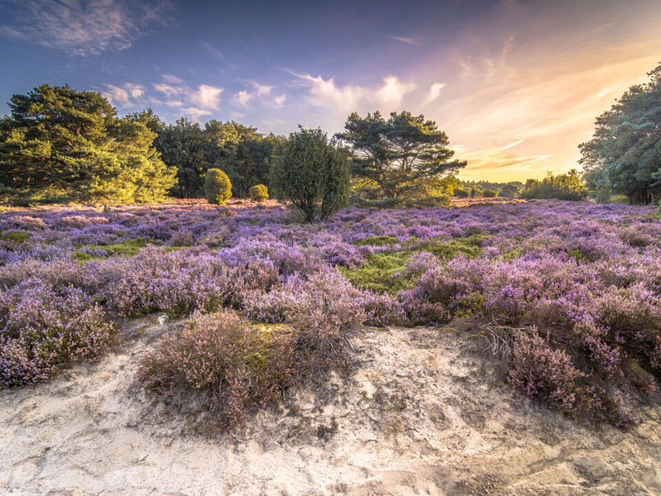 Nationale parken van Nederland: de wandelgids 1 Nationale-parken-nederland