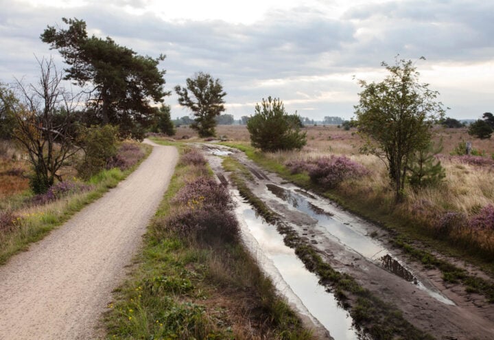 Strabrechtse-Heide