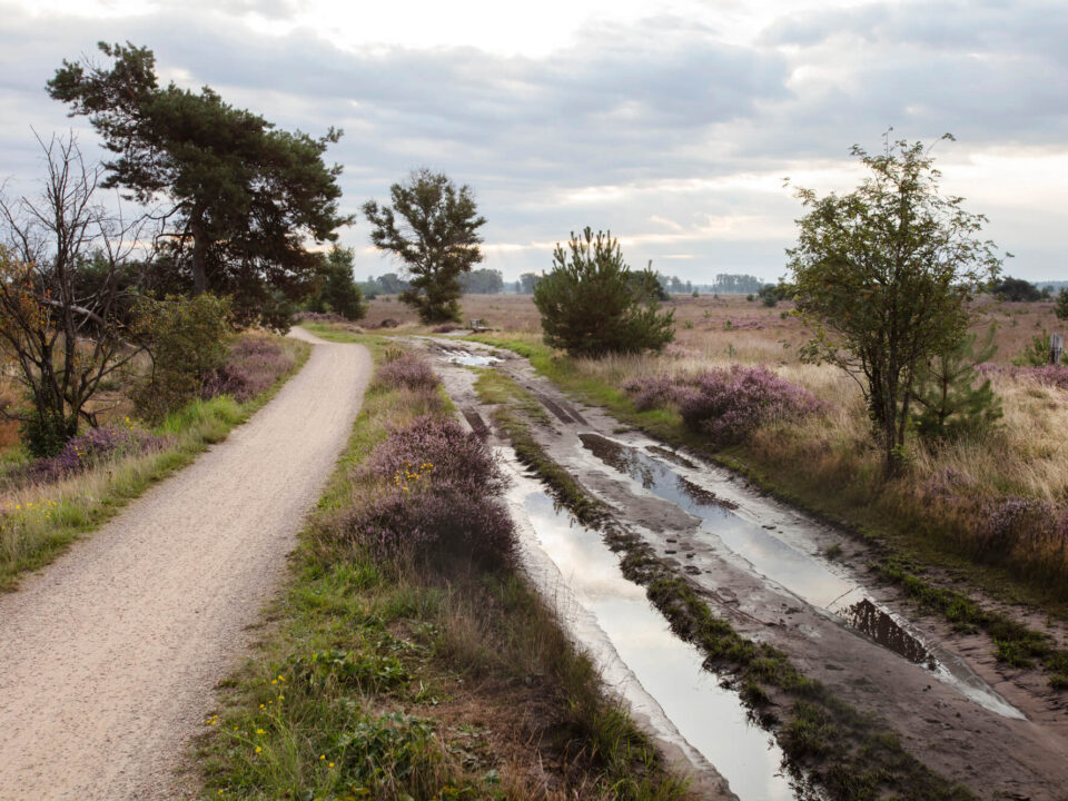 Wandelen op de Strabrechtse Heide: de complete gids 1 Strabrechtse-Heide