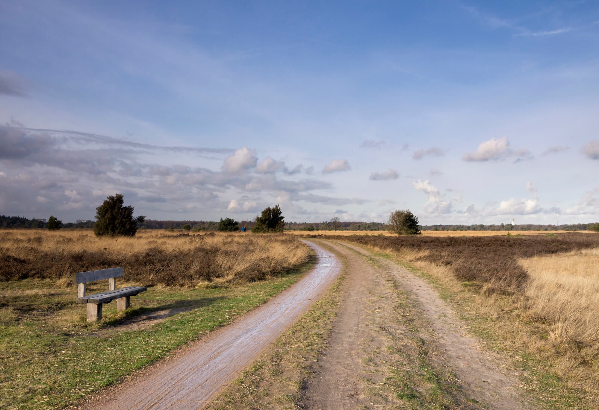 Wandelen op de Strabrechtse Heide: de complete gids 2 Strabrechtse Heide bankje