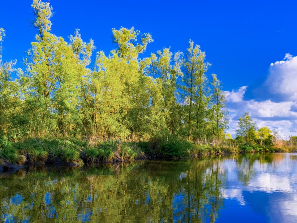 Nationaal Park De Biesbosch: de complete wandelgids 1 de-Biesbosch