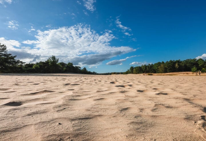 Brede zandvlakte met windribbels en bosrand onder een blauwe hemel met wolken