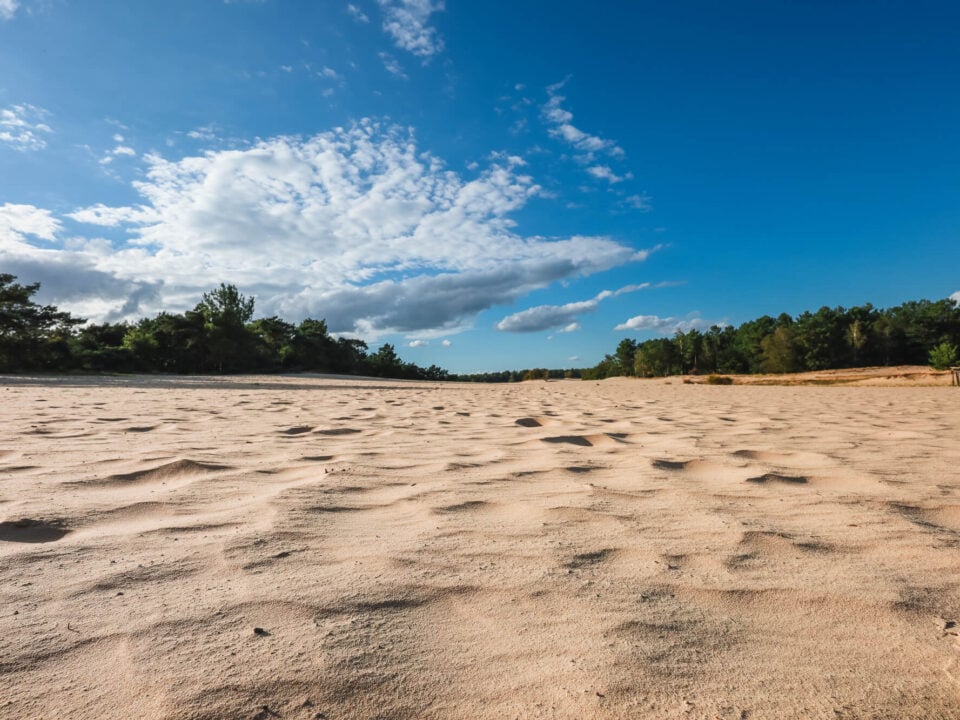 Loonse en Drunense Duinen: wandelen in de Brabantse Sahara 1 Brede zandvlakte met windribbels en bosrand onder een blauwe hemel met wolken