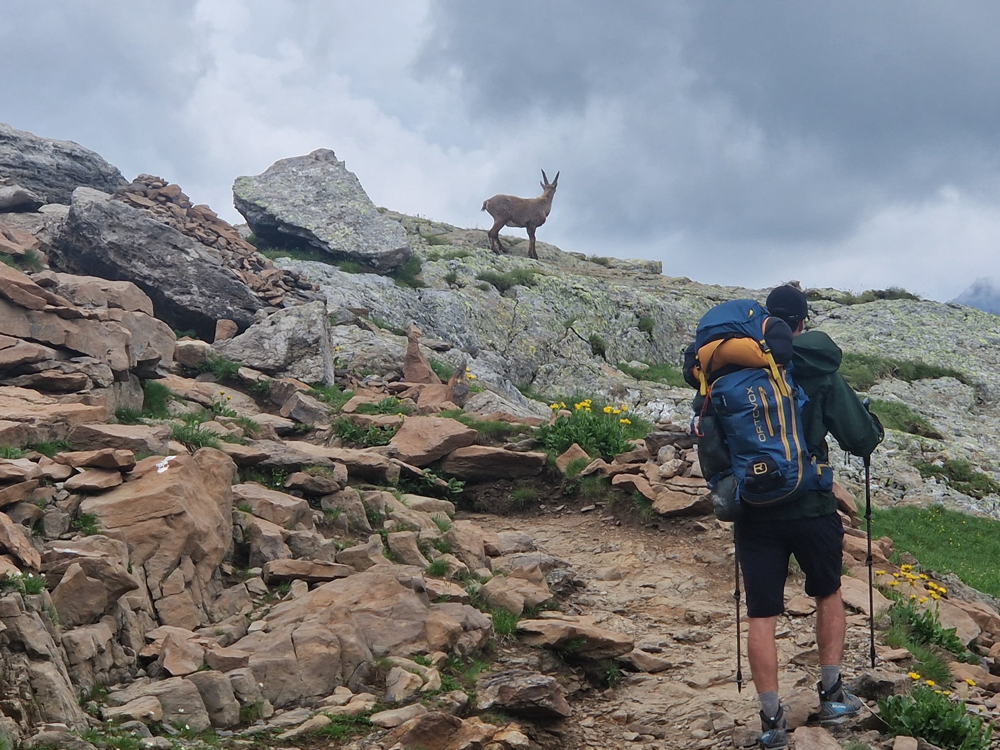 Tour du Mont Blanc ervaringen: hoe het echt was 9 Tour du Mont Blanc ervaringen: hoe het echt was