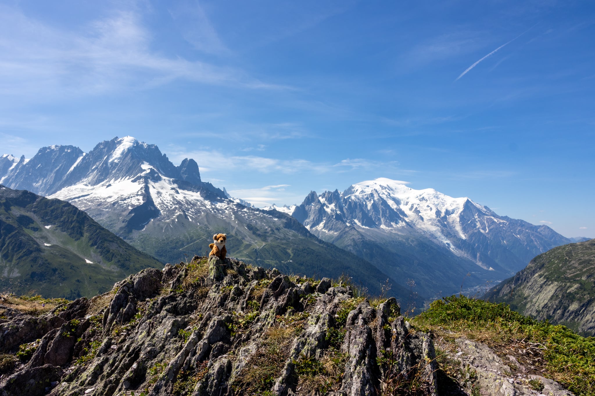 Tour du Mont Blanc tips en lessen van Rocky 7 Kleine hond op een rotsrichel met besneeuwde bergtoppen op de achtergrond