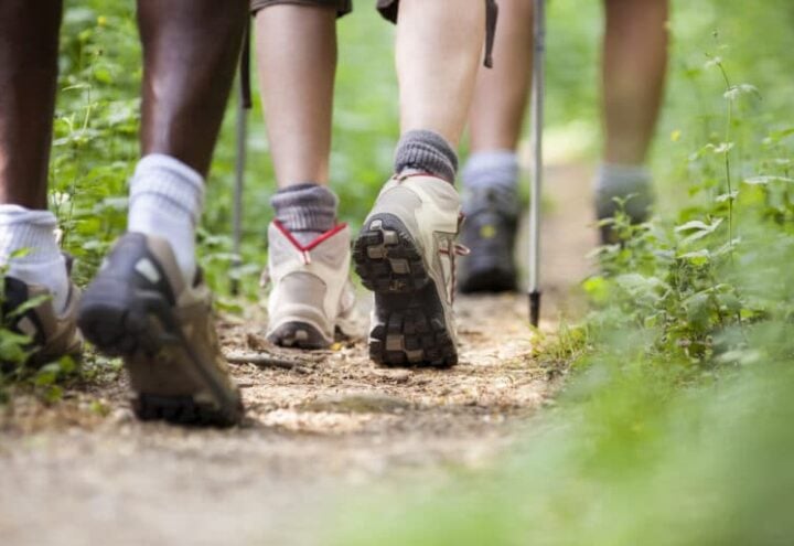 Wandelaars lopen met wandelstokken over een smal bospad
