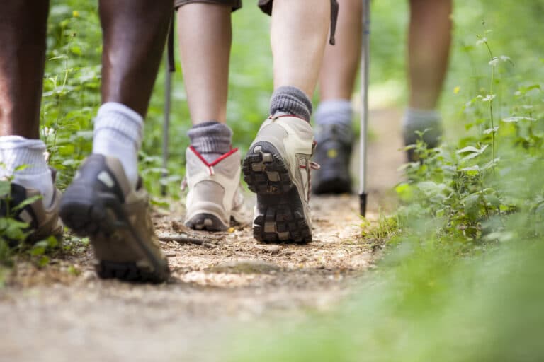 Wat is hiken? De sportieve wandeling zonder harde grens 1 Wandelaars lopen met wandelstokken over een smal bospad