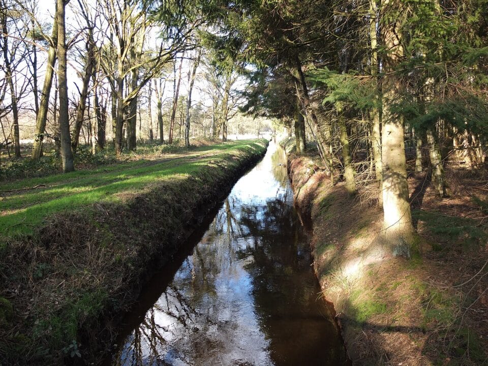 Smalle waterloop met spiegelend water langs een onverhard pad in een bosrijke omgeving