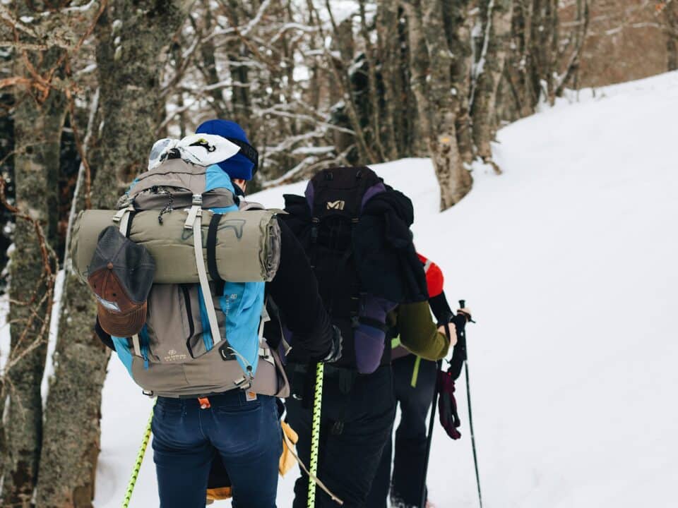 Drie wandelaars met rugzakken lopen door een besneeuwd bos